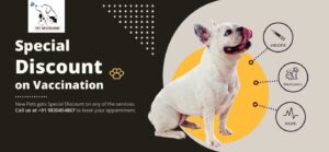 Best Pet Clinics in Kolkata Pet Neverland