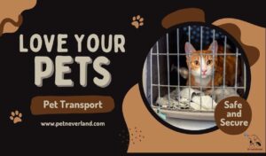 Pet Transport Services in Kolkata Pet Neverland